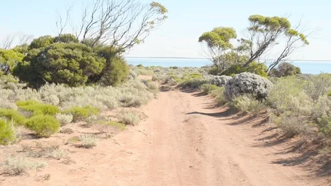 Driving in Scrub Stock Footage 77467510