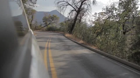 Driving up to Sequoia, car mount, rear view Stock Footage 56326003