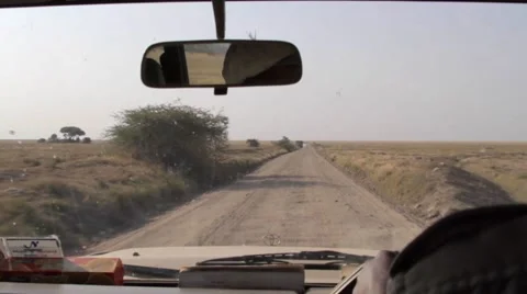 Driving in the Serengeti Stock Footage 58353094