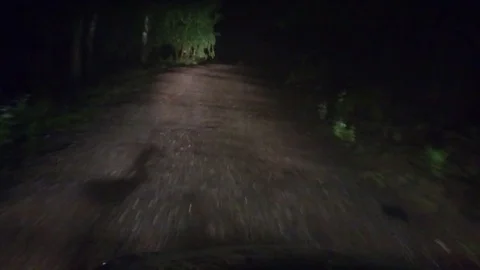 Driving shot with mounted camera. Point of view - driving during rainy weather Video stock 78781720