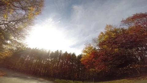 Driving shot showing beautiful fall foliage Stock Footage 71146426