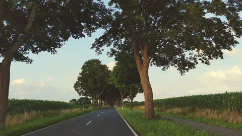 Driving shot through windscreen of car moving on green and tidy rural Stock Footage 143745928