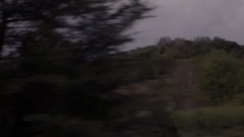Driving shot under tree-lined avenue in Oltrepò, slow motion. Stock Footage 345338784