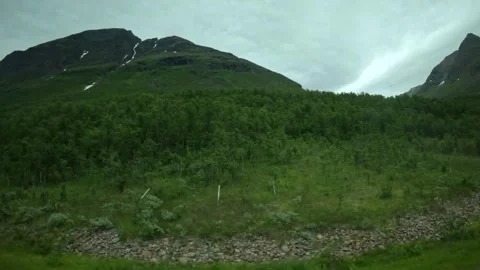 Driving side window view of birch forest and green mountain slopes in Norway Stock-Footage 341272667