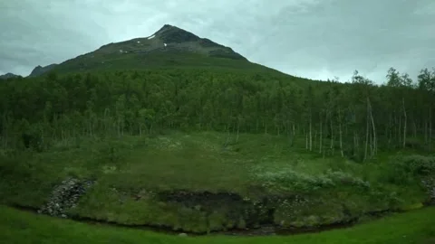Driving side window view of birch forest and sharp mountain peak in Norway Stock-Footage 341272669