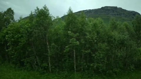 Driving side window view of green mountain slopes and birch forest in Norway Stock-Footage 341272664