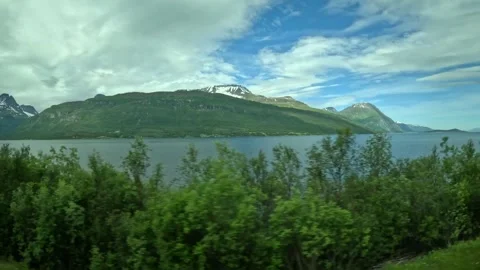 Driving side window view of lush green birch trees and fjord in Northern Norway Vidéo 340960156