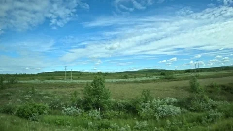 Driving side window view of scenic tundra landscape in Lapland Finland Vidéo 340960134