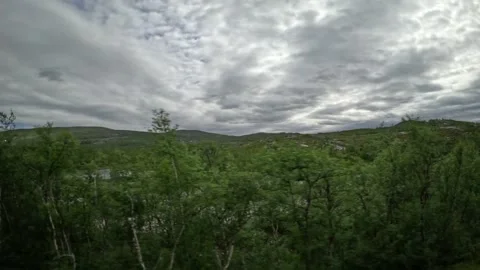 Driving side window view of tundra landscape with wooden snow fence in Lapland Stock-Footage 340960137