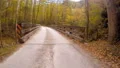driving on a single lane bridge dirt road autumn 4k or 4k+ Resolution