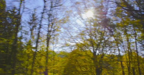 Driving slowly on a bumpy road on a beautiful autumn day - hand-held shot Vídeo Stock 91384936