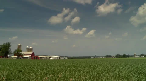 Driving by small farm and corn field in the midwest Stock Footage