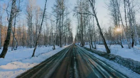 Driving on snow covered road through birch forest on sunny winter day pov Vídeo Stock 346636373