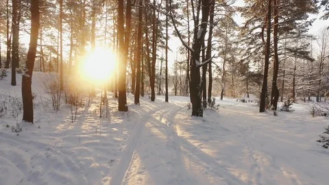 Driving on snow covered road in winter forest at sunset. The sun comes from the Stock Footage 120077125