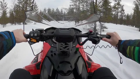 Driving a snowmobile in winter through the forest outdoors Stock Footage 149396669