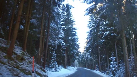 Driving on snowy countryside between trees Stock Footage 84585235