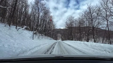 Driving Snowy Forest Road Light Snowfall POV Vídeo Stock 333368811