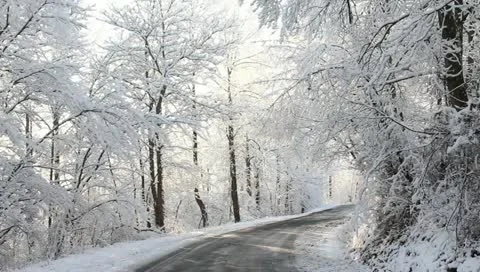Driving on a snowy road Stock Footage 10810264