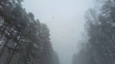 Driving on a snowy road in snowfall Video stock 155901540