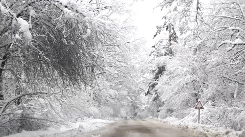 Driving in the snowy winter road Stock-Footage 44254209
