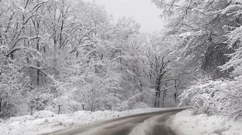 Driving in the snowy winter road Stock Footage 44498078