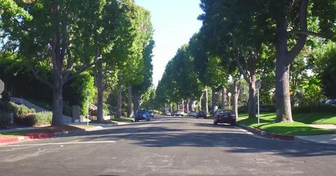 Driving in the suburbs of Beverly Hills Stock Footage 81653848