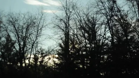 Driving Sunset Trees 2 Stock Footage 79026989