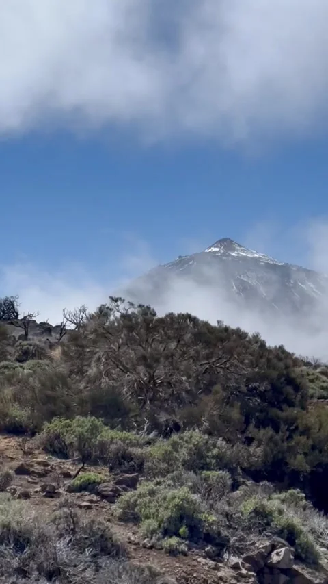 Driving TF24 with Teide views and sea of clouds in Teide National Park Tenerife Stock Footage 311515366