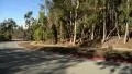 Driving Three Quater Rear 03 Street by a park HD Footage