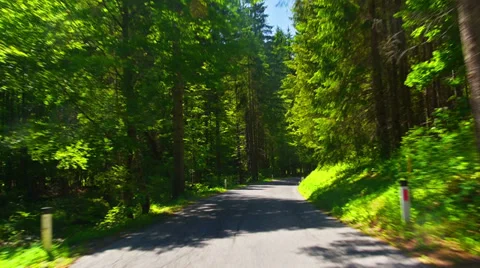 Driving through alpine forest. 库存影片 28112295