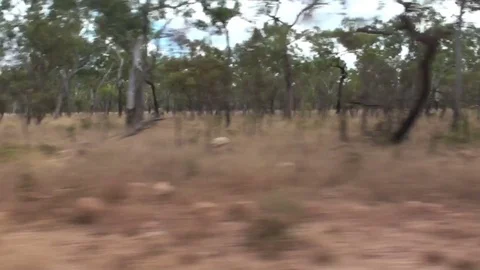 Driving through the Australian Outback Stock Footage 74008377