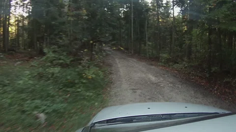 Driving through  autumn forest Stock Footage 45870104