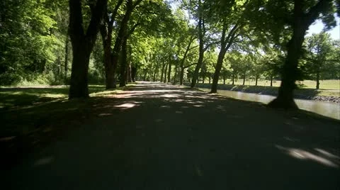 Driving through an avenue Stock Footage 11288061