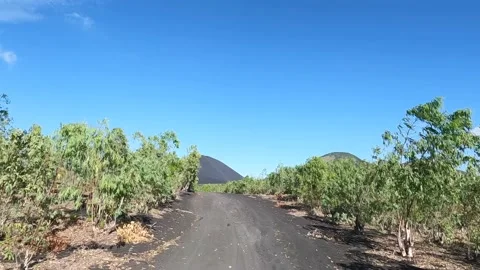 Driving through the beautiful volcano landscape in Nicaragua. Volcano excursion. Stock Footage 225634175