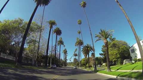 Driving through Beverly Drive in Beverly Hills Stock Footage 35414961