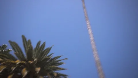 Driving through Beverly Hills palms trees in Los Angeles against a blue sky Vídeo Stock 112759105