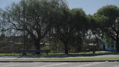 Driving through Buenos Aires suburbs Stock Footage 317579941