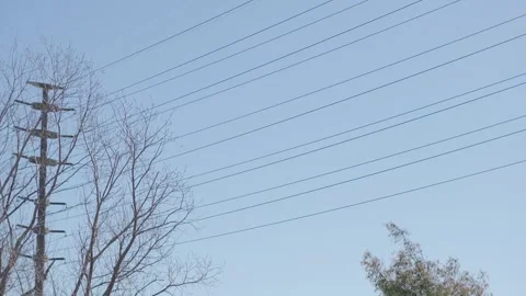 Driving through Buenos Aires suburbs Stock Footage 317580062