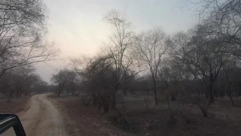 Driving through bumpy forests at Ranthambore, Rajasthan Stock Footage 151458659
