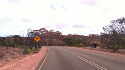 Driving Through Burnt / Devastated Australian Bushfire / Wildfire Areas Stock Footage 132316608