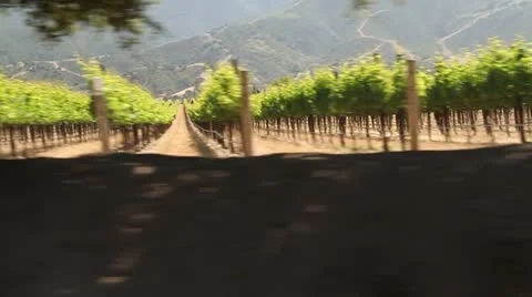 Driving through California wine country Stock Footage