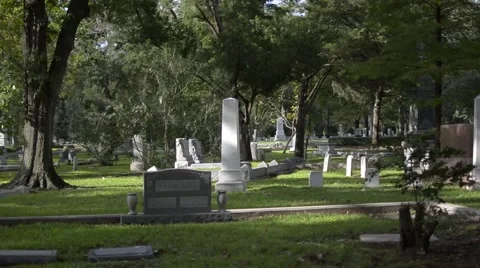 Driving Through Cemetery Stock Footage 42773537