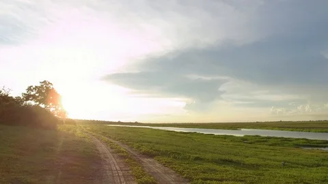 Driving through Chobe National Park in Botswana. Camera moves forward. Stock Footage 101616248