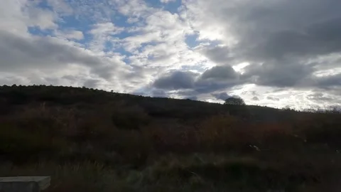 Driving through the countryside against the light Stock Footage 222008964