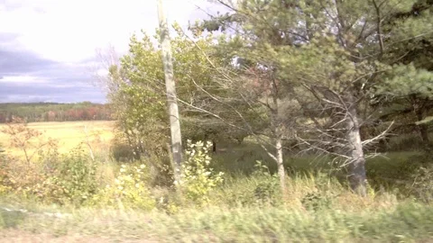 Driving Through the Coutryside 3 Stock Footage 90930230