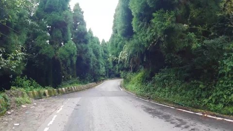 Driving through a curvy forest road in the mountains | Curvy mountain road Stock Footage 324883644