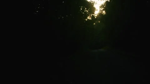 Driving through a dark, dense forest tunnel with bright sunlight piercing t.. Stock Footage 341357209