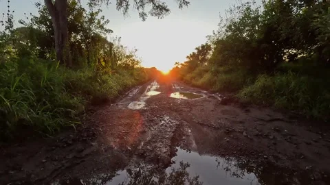 Driving through deep puddle on Kruger Park dirt road at sunrise Stock Footage 341324211