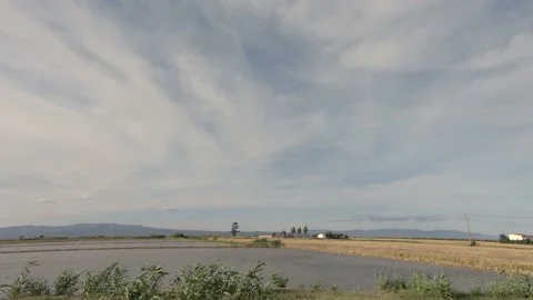 Driving through delta del Ebro Video stock 141488894