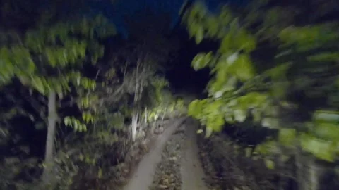 Driving through dense forest in the Night in Kanha Tiger Reserve Stock Footage 145262336